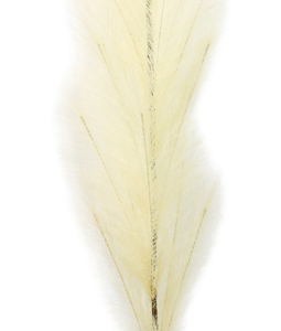 5915 PLUME ELFENBEIN 170CM
